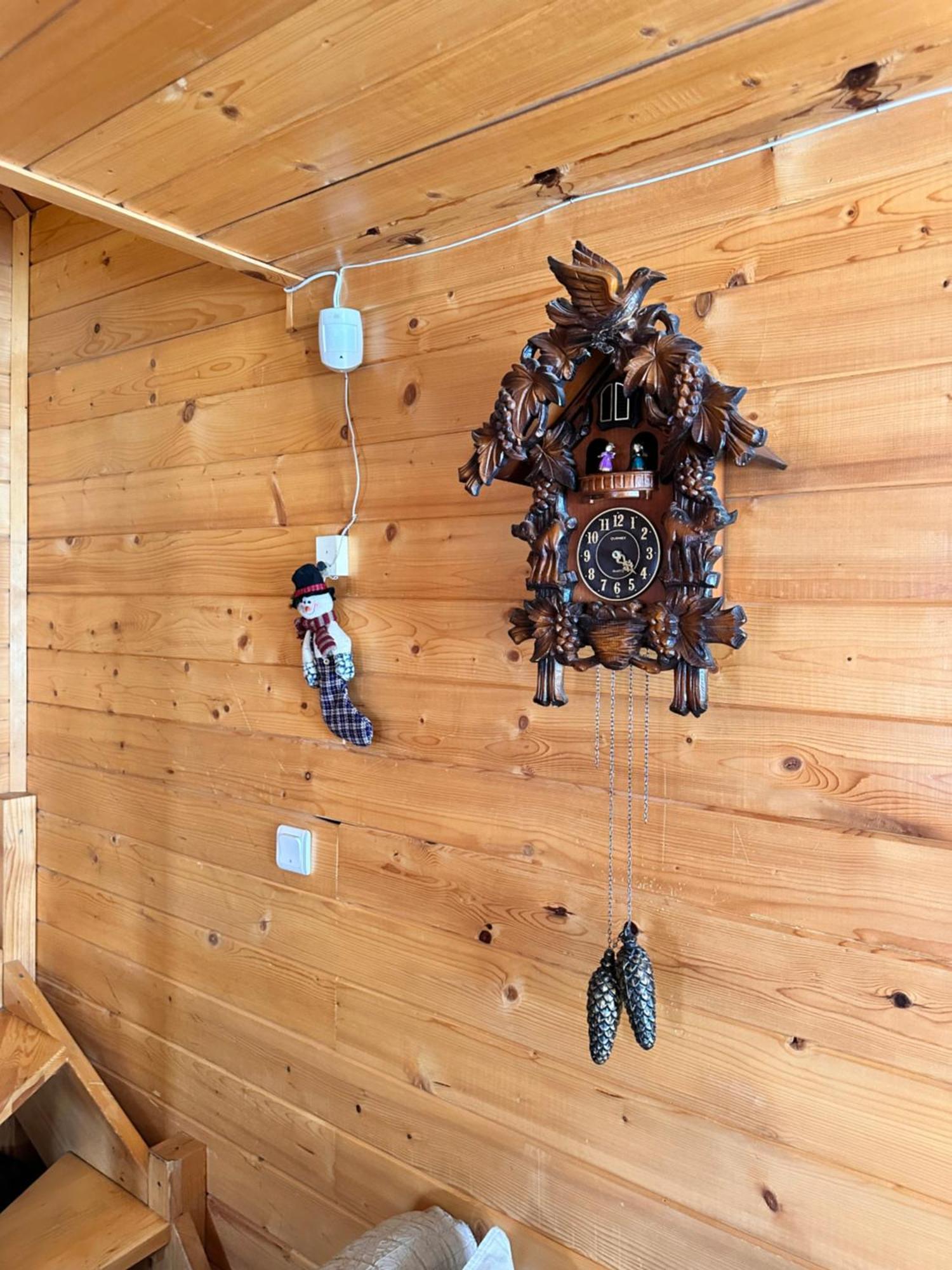 Alpine Ski Chalet Borovets With Sauna Exteriör bild