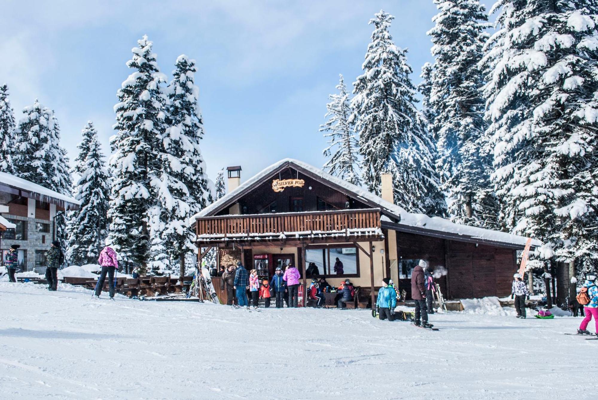 Alpine Ski Chalet Borovets With Sauna Exteriör bild