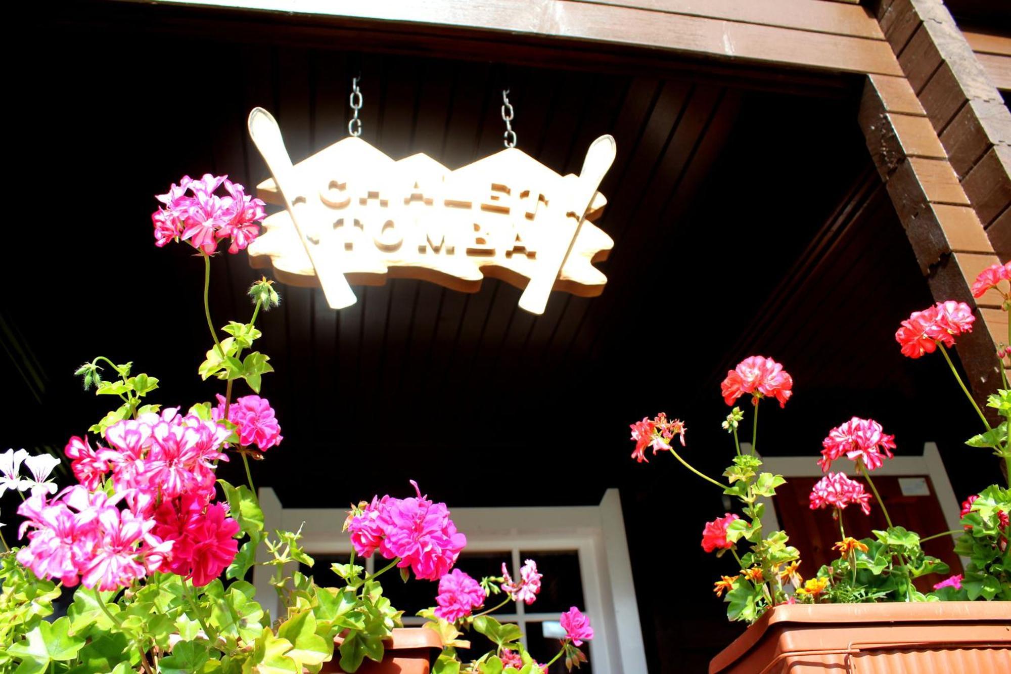 Alpine Ski Chalet Borovets With Sauna Exteriör bild