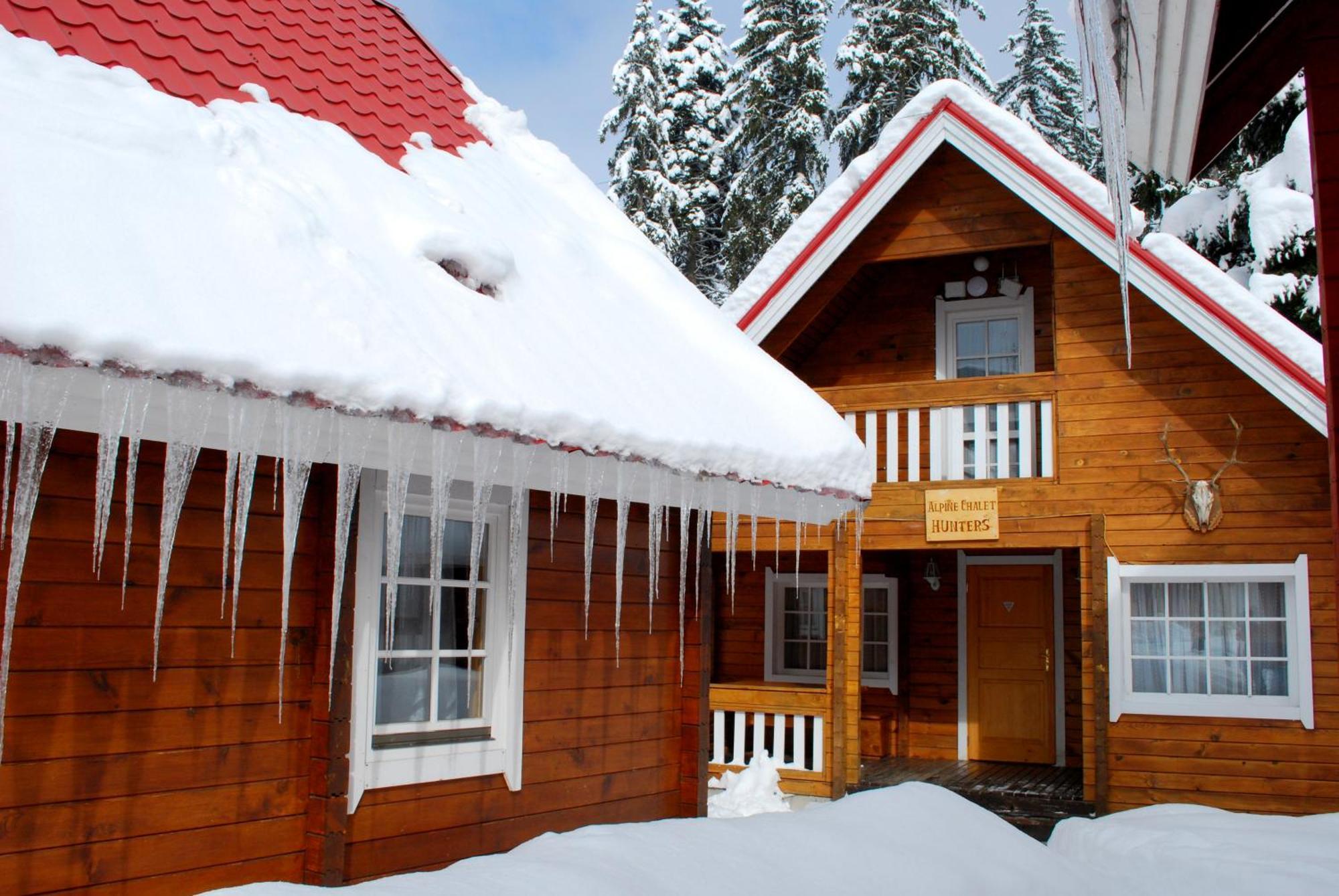 Alpine Ski Chalet Borovets With Sauna Rum bild